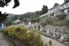Video Pagoda Truc Lam Marseille 012018