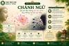 CHÁNH NGỮ – LỜI NÓI NHƯ NHỮNG ĐÓA HOA THƠM HAY NHỮNG MŨI TÊN SẮC NHỌN