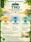 THẬP NHỊ NHÂN DUYÊN – 7: THỌ
