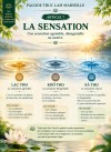 LES DOUZE LIENS DE LA COPRODUCTION CONDITIONNÉE – 7 : LA SENSATION