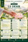 LES DOUZE LIENS DE LA COPRODUCTION CONDITIONNÉE – 8 : LE DÉSIR