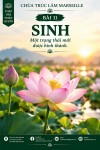 THẬP NHỊ NHÂN DUYÊN – 11: SINH