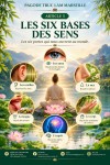 LES DOUZE LIENS DE LA COPRODUCTION CONDITIONNÉE – 5 : LES SIX BASES DES SENS