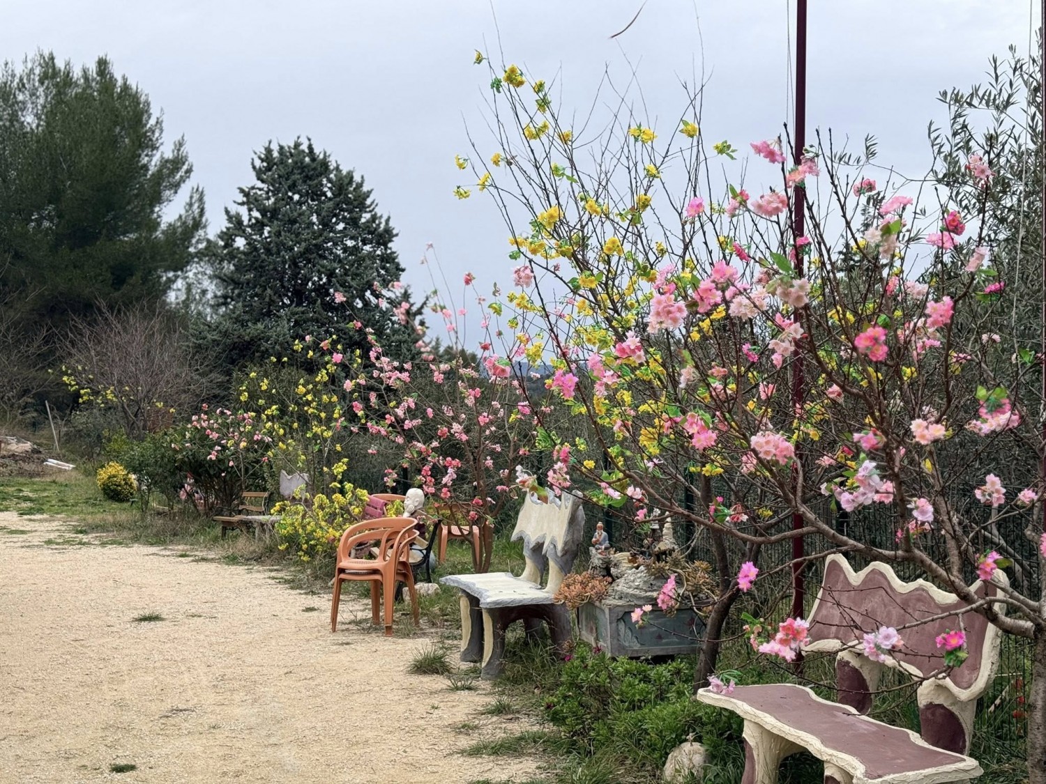 618781803 25396102573400521 4776367972058025963 n