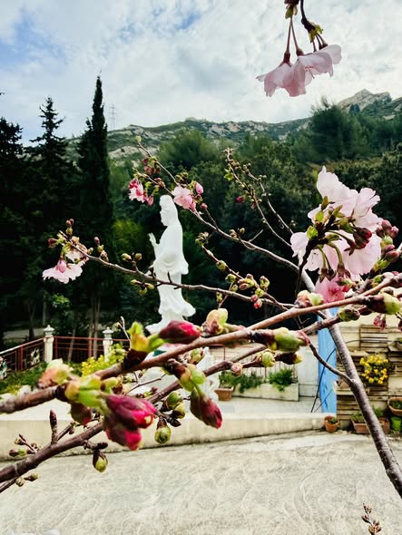 LỄ VÍA BỒ TÁT QUÁN THẾ ÂM 12/04/2026