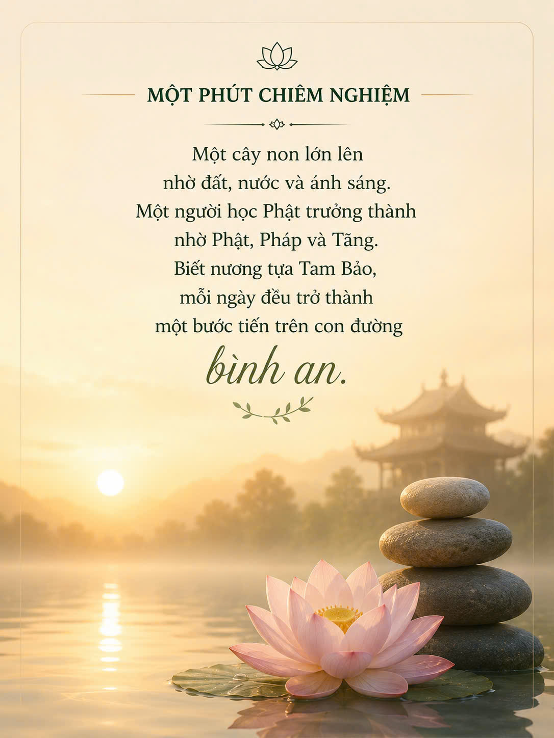 5 tam bao 5