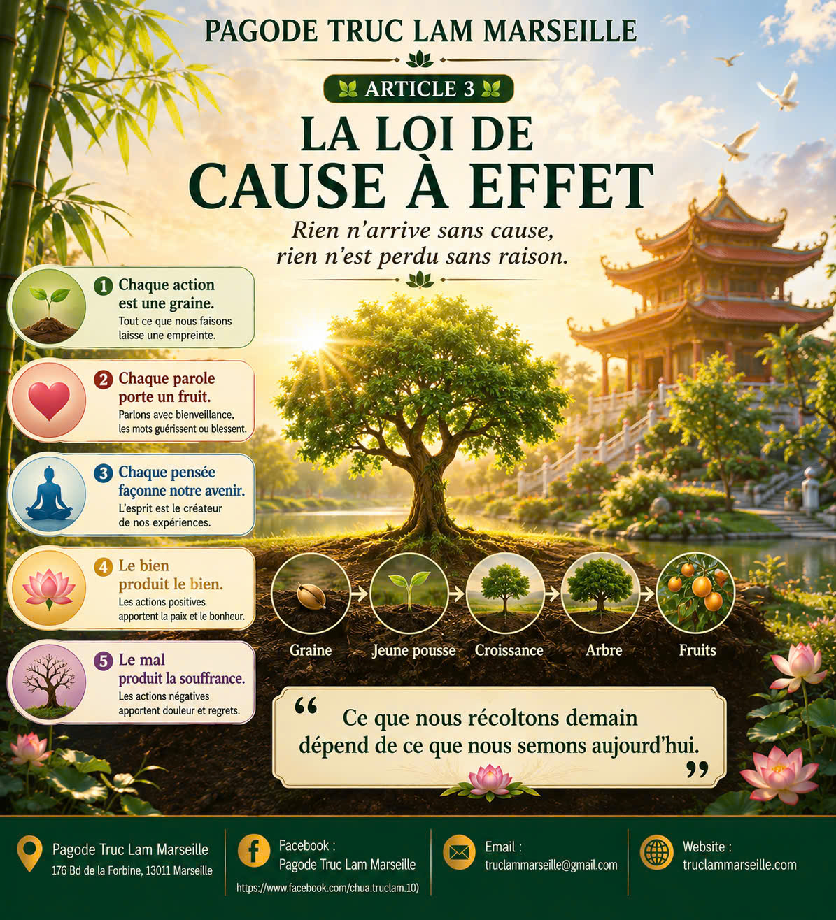 LA LOI DE CAUSE À EFFET