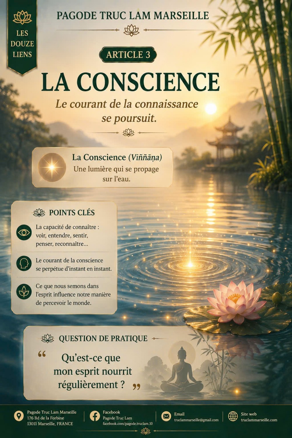 LES DOUZE LIENS DE LA COPRODUCTION CONDITIONNÉE – LA CONSCIENCE
