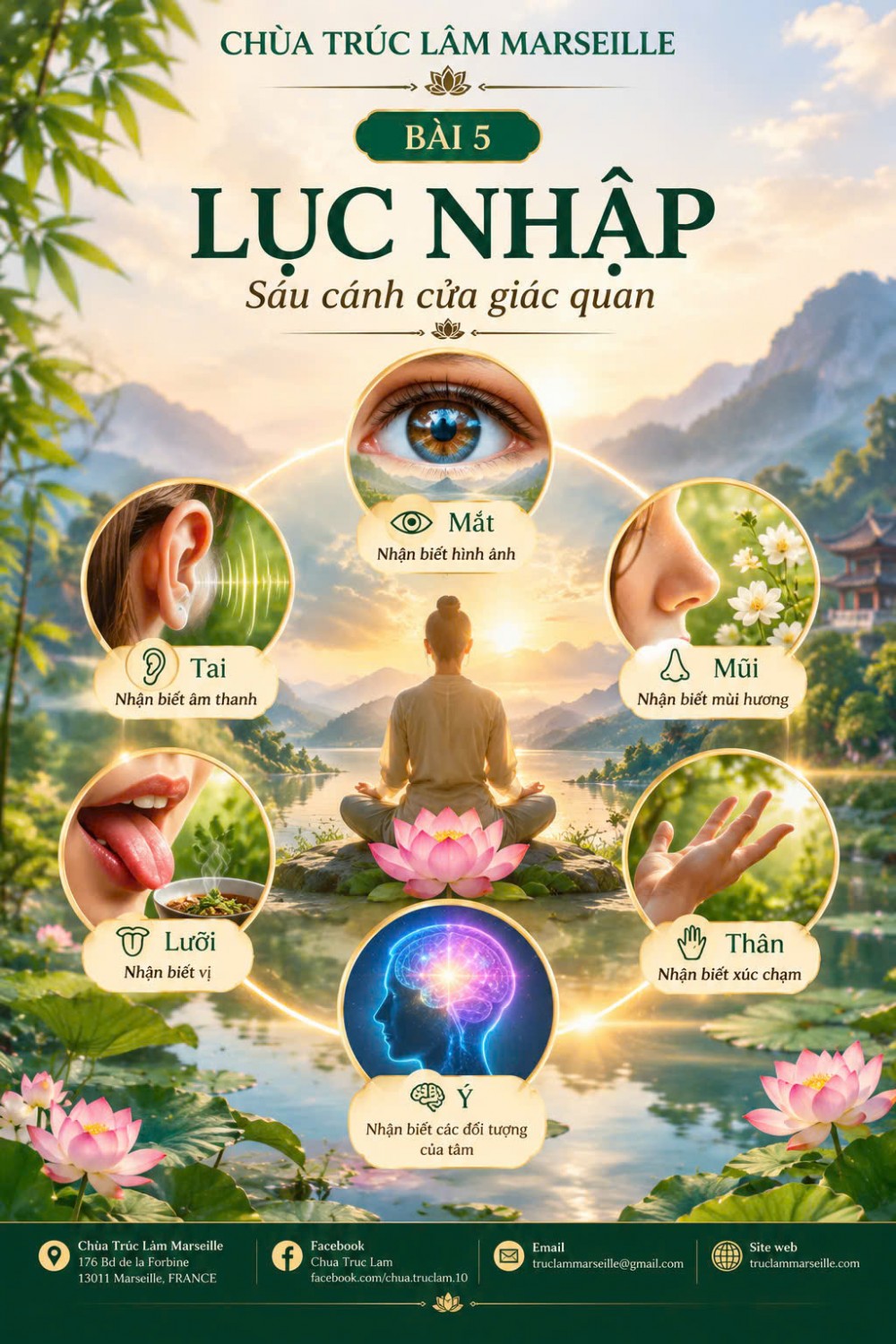 THẬP NHỊ NHÂN DUYÊN – 5: LỤC NHẬP