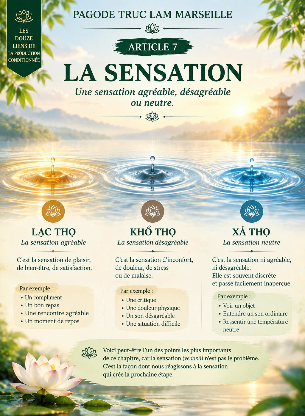 LES DOUZE LIENS DE LA COPRODUCTION CONDITIONNÉE – 7 : LA SENSATION