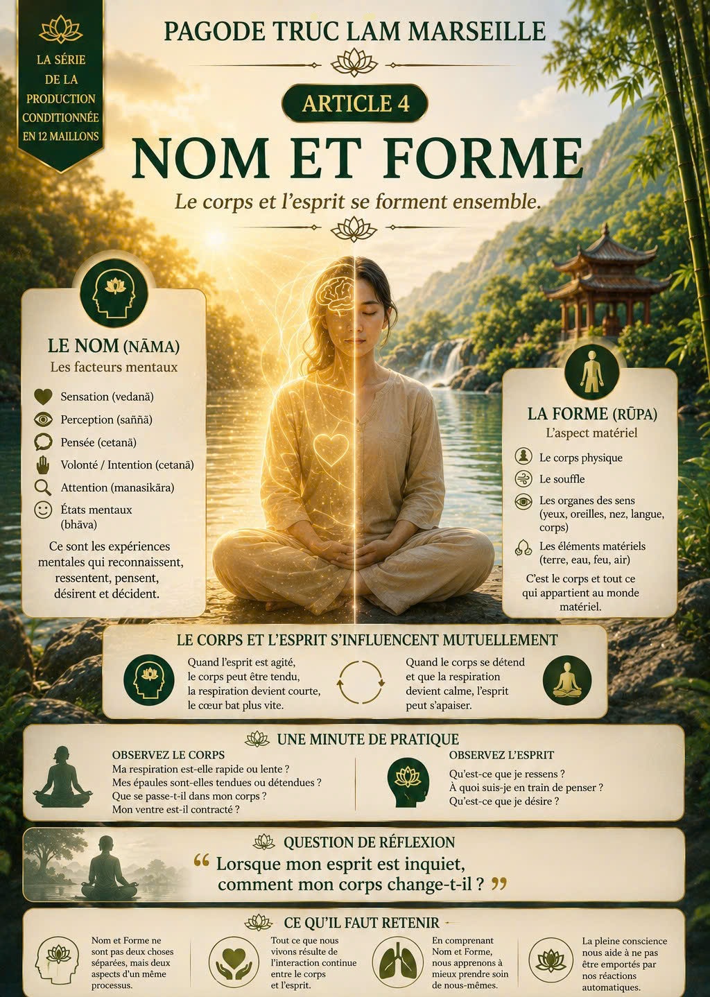 LES DOUZE LIENS DE LA COPRODUCTION CONDITIONNÉE – 4 : NOM ET FORME