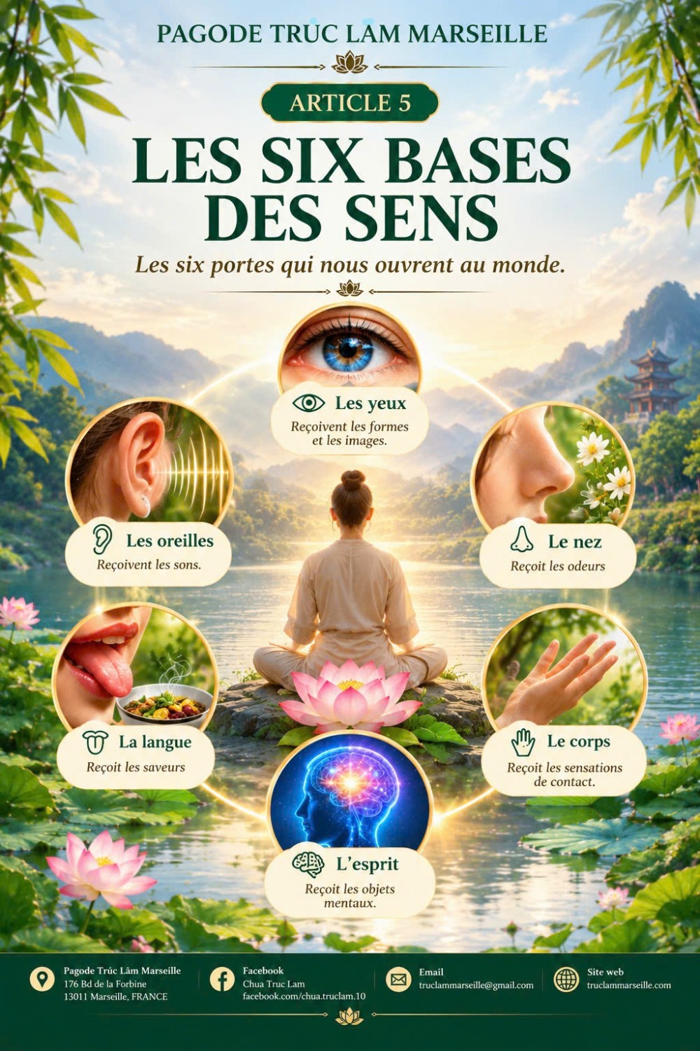 LES DOUZE LIENS DE LA COPRODUCTION CONDITIONNÉE – 5 : LES SIX BASES DES SENS