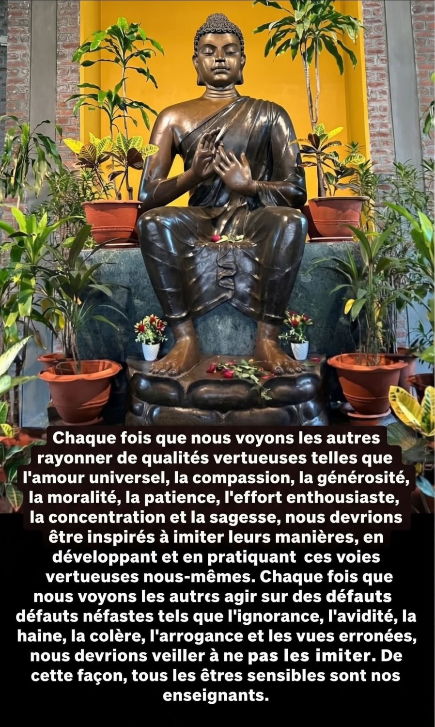 ​​​​​​​CƠM CHAY THÁNG 15/11/2026