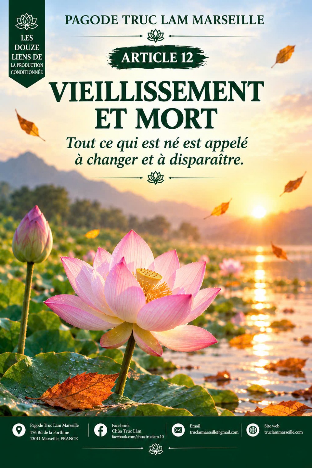 LES DOUZE LIENS DE LA COPRODUCTION CONDITIONNÉE – 12 : VIEILLISSEMENT ET MORT